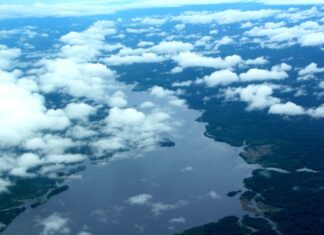 Agosto: focos de calor no Amazonas caem ao nível mais baixo desde 2011 e desmatamento diminui