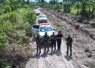 Ipaam aplica mais de R$ 30 milhões em multas na 4ª etapa da Operação Tamoiotatá 5