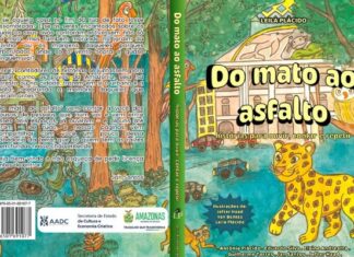 Coletânea do mato ao asfalto