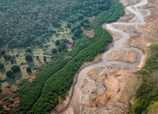 Estudo aponta que seca cresce 12 dias por década e intensifica crise climática na Amazônia