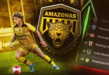 Onça-pintada depende de campanha quase perfeita na reta final da Série B
