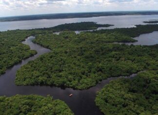 Petrobras enfrenta questionamentos do Ibama sobre plano de poço na Foz do Amazonas