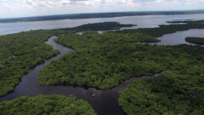 Bacia-Amazonica_320194868-1000x563-2