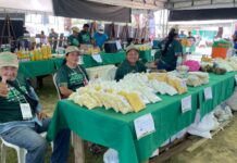 ExpoFest 2025 movimenta R$ 12 milhões e impulsiona a economia em diversos setores de Itacoatiara