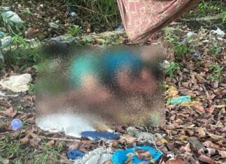 Corpo de Elias Rodrigues é achado ensanguentado em região de mata na Ponta Negra