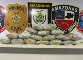 Cão detecta drogas em lancha no Rio Negro; 22,7 quilos de maconha são apreendidos