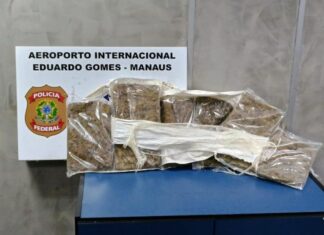 Tentativa de fuga: PF prende homem em Manaus transportando 4 kg de maconha