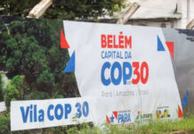 Repórteres da Argentina e do Chile são vítimas de roubo no Ver-o-Peso durante cobertura da COP30