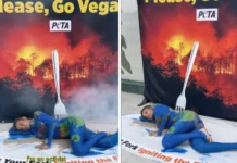 Ativista Luisa Mell protesta em frente à COP30 e critica consumo de carne no evento