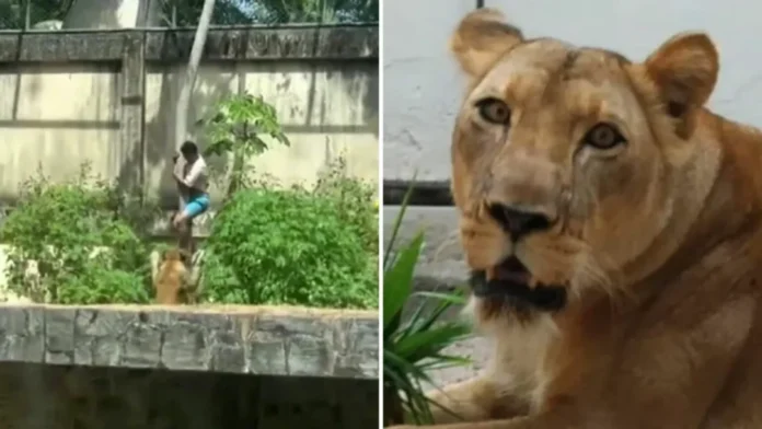 Montagem-53-1-1536x864