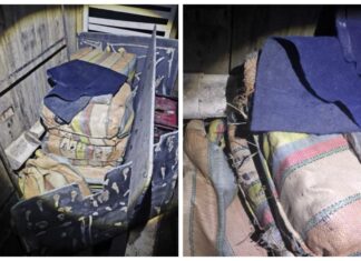 COE intercepta carga de 210 kg de maconha avaliada em R$ 4,5 milhões no rio Negro