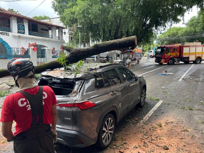 aea8cdb5-3ae5-4369-94c1-41f0137e3ab7