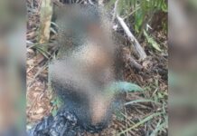 Homem é achado morto no Tarumã com objeto inserido no ânus e sinais de tortura