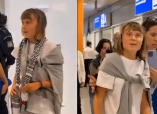 Fake News: Greta Thunberg não esteve no Brasil para a COP30