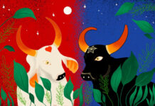 Festival de Parintins 2026 abre vendas oficiais nesta quinta (7); passaportes custam até R$ 4,8 mil