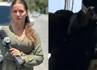 Criminoso aborda repórter do SBT ao vivo e exige celular sob ameaça de tiro