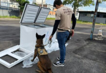 Droga e armas são encontradas em caminhão de frete durante operação policial em Manaus