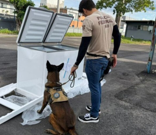 Droga e armas são encontradas em caminhão de frete durante operação policial em Manaus