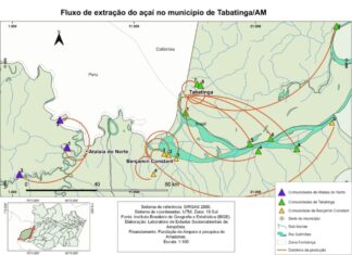 Com apoio do Governo do Amazonas, pesquisa identifica os circuitos de extração e comercialização do açaí e do mapati na Tríplice Fronteira