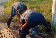 Queda de moto deixa condutor ferido na Cidade Nova em Manaus