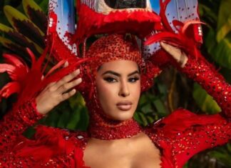 Isabelle Nogueira se despede da Grande Rio e deixa quadro de musas