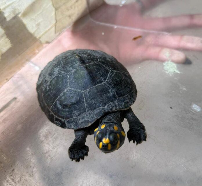 WhatsApp-Image-2025-12-01-at-10.21.38