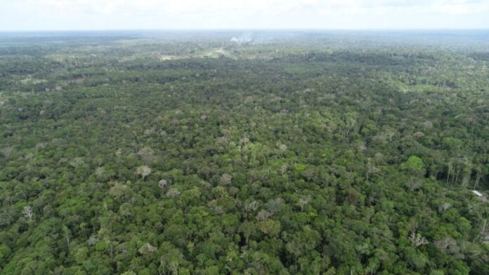 WhatsApp-Image-2025-12-04-at-13.36.25-1024x576