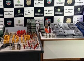 Homem é preso pela PC-AM após apreensão de 614 munições no interior do Amazonas