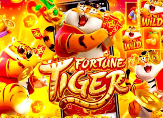 Governo prepara bloqueio que deve excluir milhares de usuários de sites de aposta do Bolsa Família