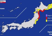 Japão registra terremoto de 7,6; alerta de tsunami mobiliza força-tarefa nacional