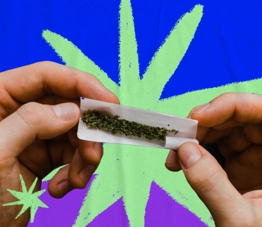 Uso de Cannabis cresce entre adolescentes e, pela primeira vez, meninas superam meninos, aponta estudo