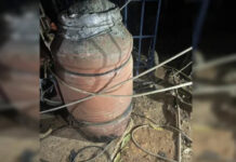 Adolescente de 14 anos e namorado são suspeitos de assassinato e ocultação de cadáver