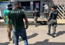 Homem é preso após denúncia de zoofilia envolvendo cadela em Manaus