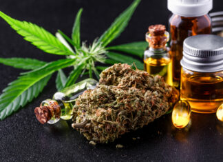 Estudo com mais de 2 mil pacientes mostra ineficácia da cannabis para dor nos nervos