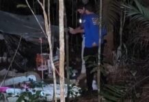 Mulher é morta em área de mata da UFAM e caso é tratado como feminicídio em Manaus