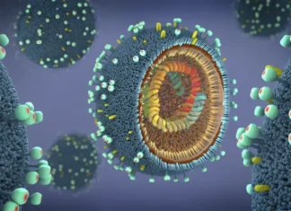 Surto de vírus letal na Índia atinge profissionais de saúde e acende alerta sanitário