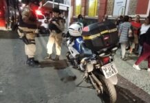 Jovem é preso após arremessar cachorro do alto de prédio; animal morreu no local