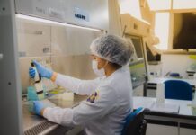 Governo do Amazonas lança 15 novos editais no valor de mais de R$ 81 milhões