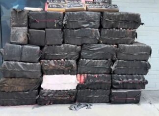 Polícia apreende 1,1 tonelada de entorpecentes e prende três suspeitos em Manaus