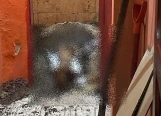 Corpo de idoso é encontrado enterrado dentro de kitnet no bairro Zumbi