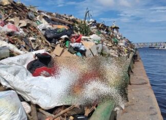 Membro humano é achado durante recolhimento de lixo em igarapé de Manaus