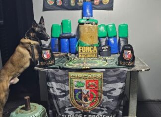 Mulher é presa com 60 quilos de cocaína avaliados em R$ 3 milhões no Rio Solimões