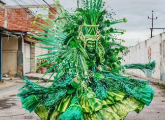 Série Ouro do Carnaval do Rio 2026: Escolas com história de campeãs prometem disputa acirrada