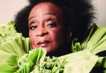 Nove escolas de samba desfilam no Sambódromo do Anhembi no Desfile das Campeãs de SP