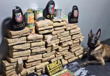 Base Arpão 2: PMAM apreende mais de 70 kg de drogas escondidas em tubos de PVC e latas
