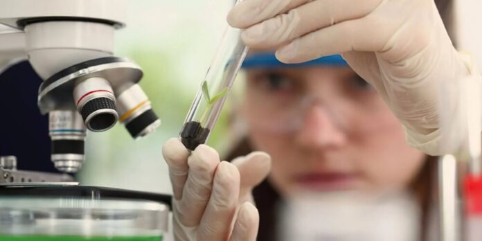 Observatório Nacional lança programa "Meninas Cientistas do ON" para estudantes do ensino médio