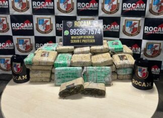 Polícia intercepta 42 tabletes de skunk em garagem no bairro Aleixo