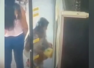 Trio de mulheres “passa fome” rouba pacotes de queijo em Manaus
