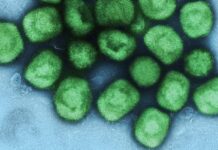 Novo caso de Mpox leva prefeitura a emitir alerta durante o período carnavalesco