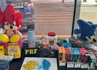 PRF intercepta jovem transportando grande quantidade de ecstasy em ursinhos de pelúcia